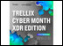 Trellix Cyber Month. XDR Edition  як побудувати захист вашої інфраструктури