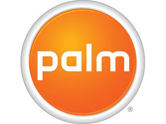 Palm