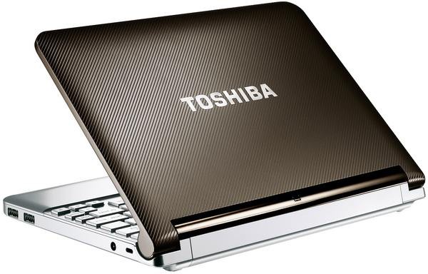 нетбук Toshiba mini NB200 